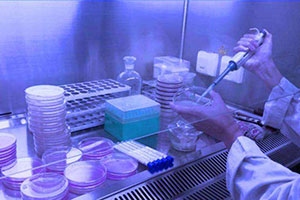 代工化妆品要多少钱？化妆品代工小批量代工价